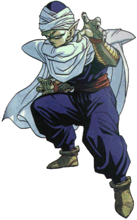 piccolo2