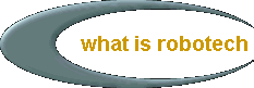  what is robotech 